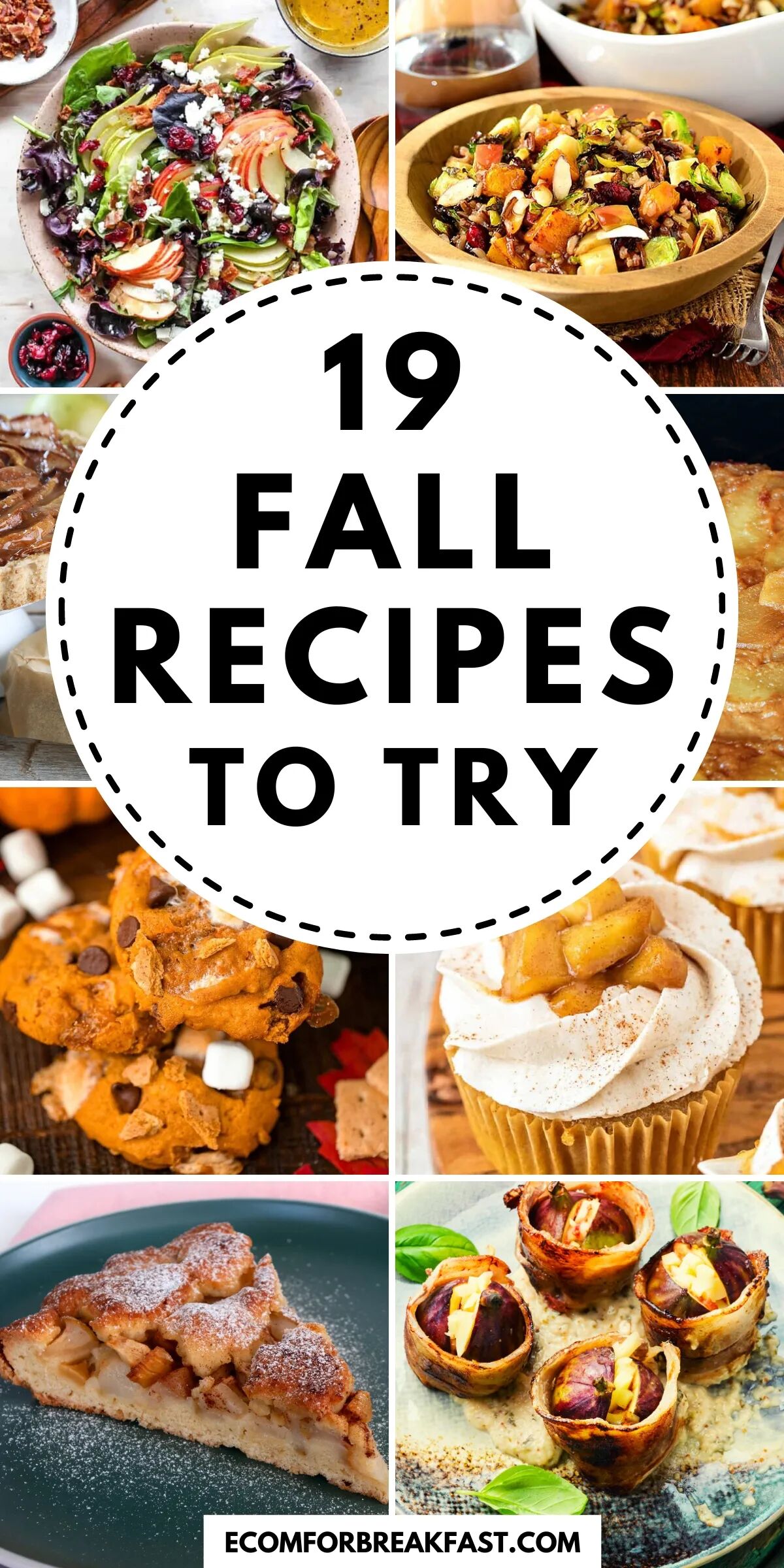 fall recipes featured image